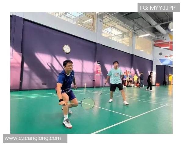 武汉羽毛球队的转换打法深度分析与战术创新探讨